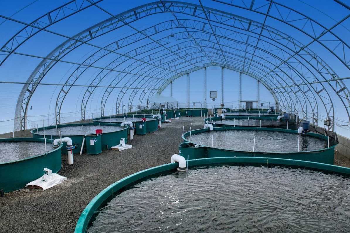 Vijabel Fish Farm